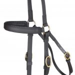 Zilco Barcoo Bridle