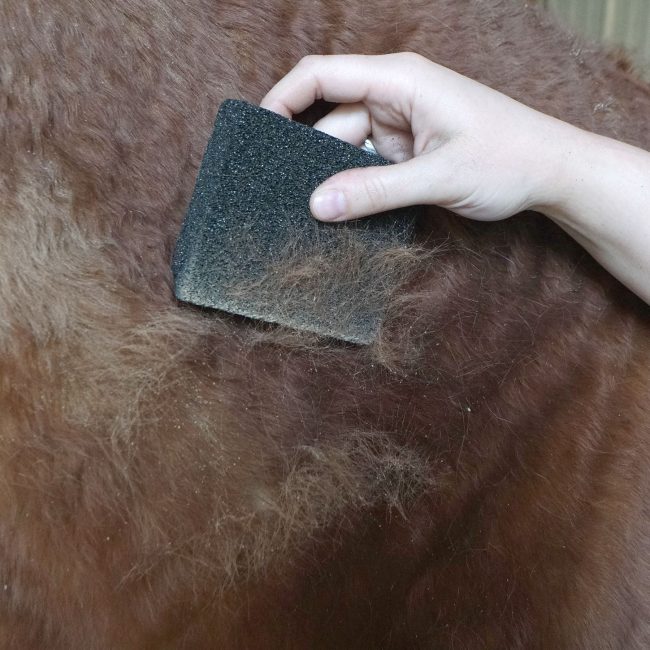 Grooming Block For Horse
