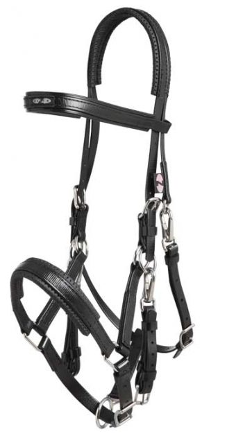 Zilco SS Marathon Bridle