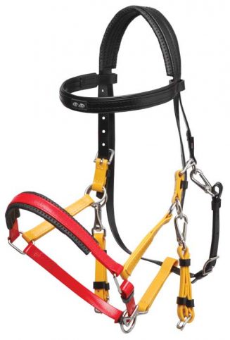 zilco deluxe ss endurance bridle