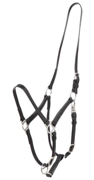 zilco deluxe ss endurance halter