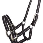 Metallic Stripe Halter CLR