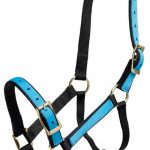 OVERLAY SNAZZY HALTER