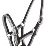 SPARKLE FOAL HALTER