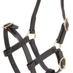 ZILCO PN FOAL HALTER