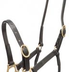 Zilco 19mm PN Halter