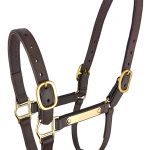 EPSOM DELUXE HALTER
