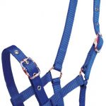 FANCY BUCKLE FOAL HALTER