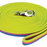 Brite Soft Lunge Lead