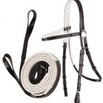 ZILCO RACE BRIDLE & LOOP END REINS - WHITE TRIM