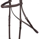 Training Bridle