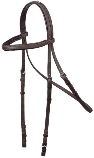 Training Bridle