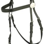 ZILCO ROSETTE RACE BRIDLE
