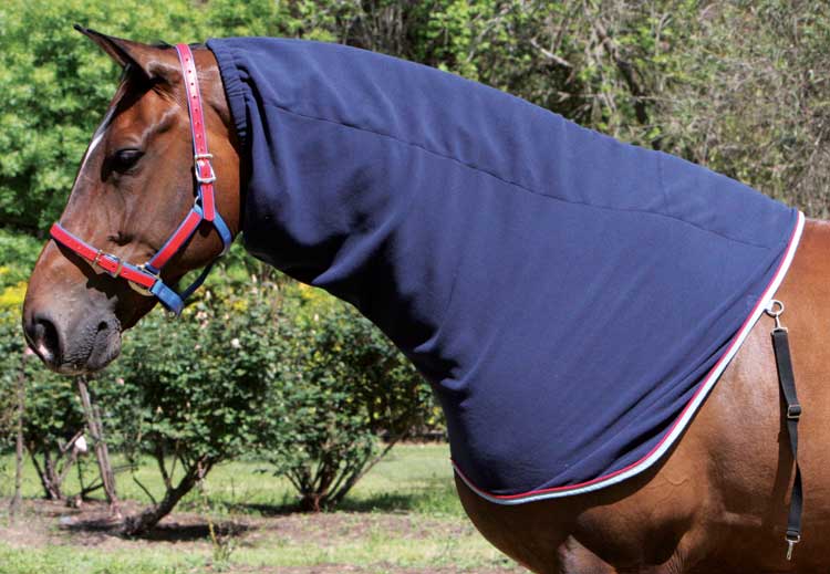 Buy Horse Rugs online at Your Saddlery