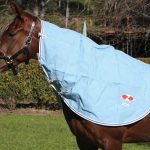 Zilco Hamilton Canvas Neck Rug