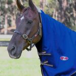 Zilco Garrison Neck Rug