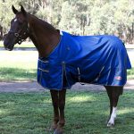 Zilco Garrison Rug