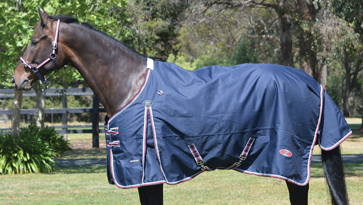 Buy Horse Rugs online at Your Saddlery