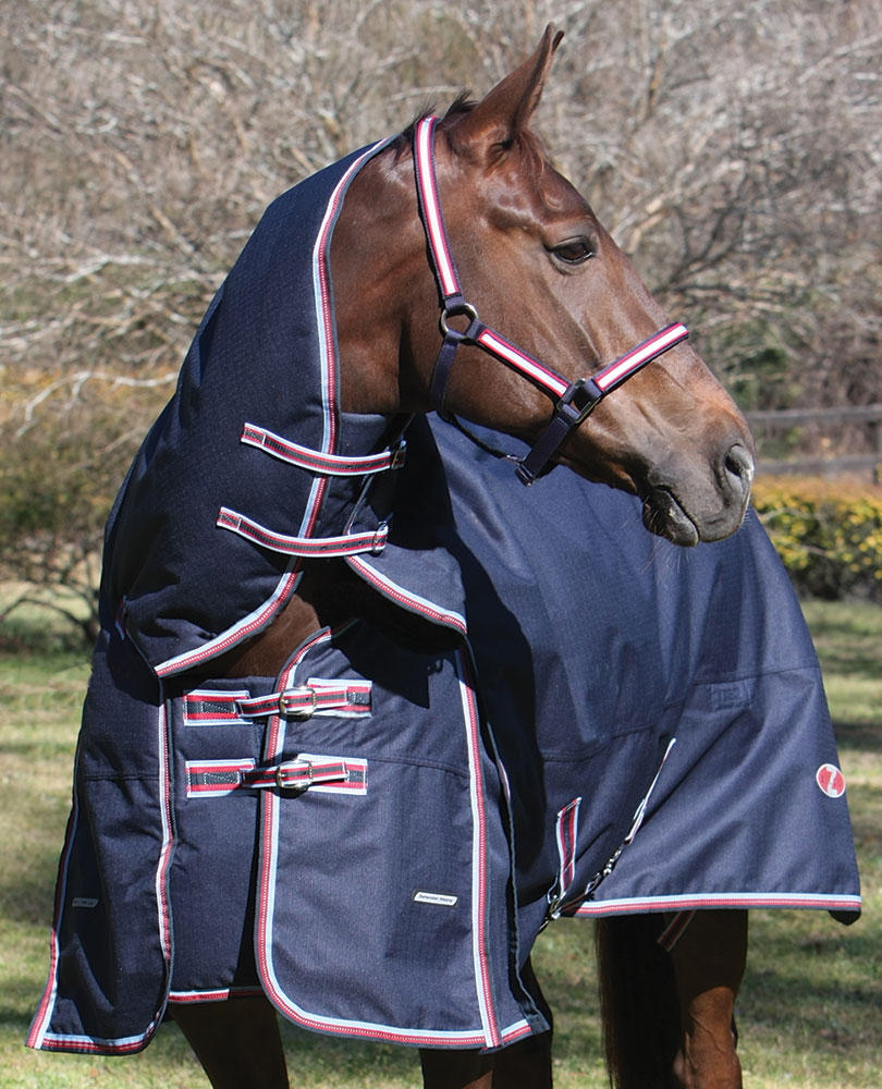 Buy Horse Rugs online at Your Saddlery