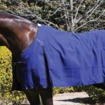 Zilco Blue Mountain Rug