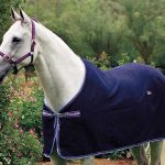 Zilco Defender Wool Rug