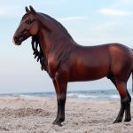 Breyer Traditional Dominante XXIX