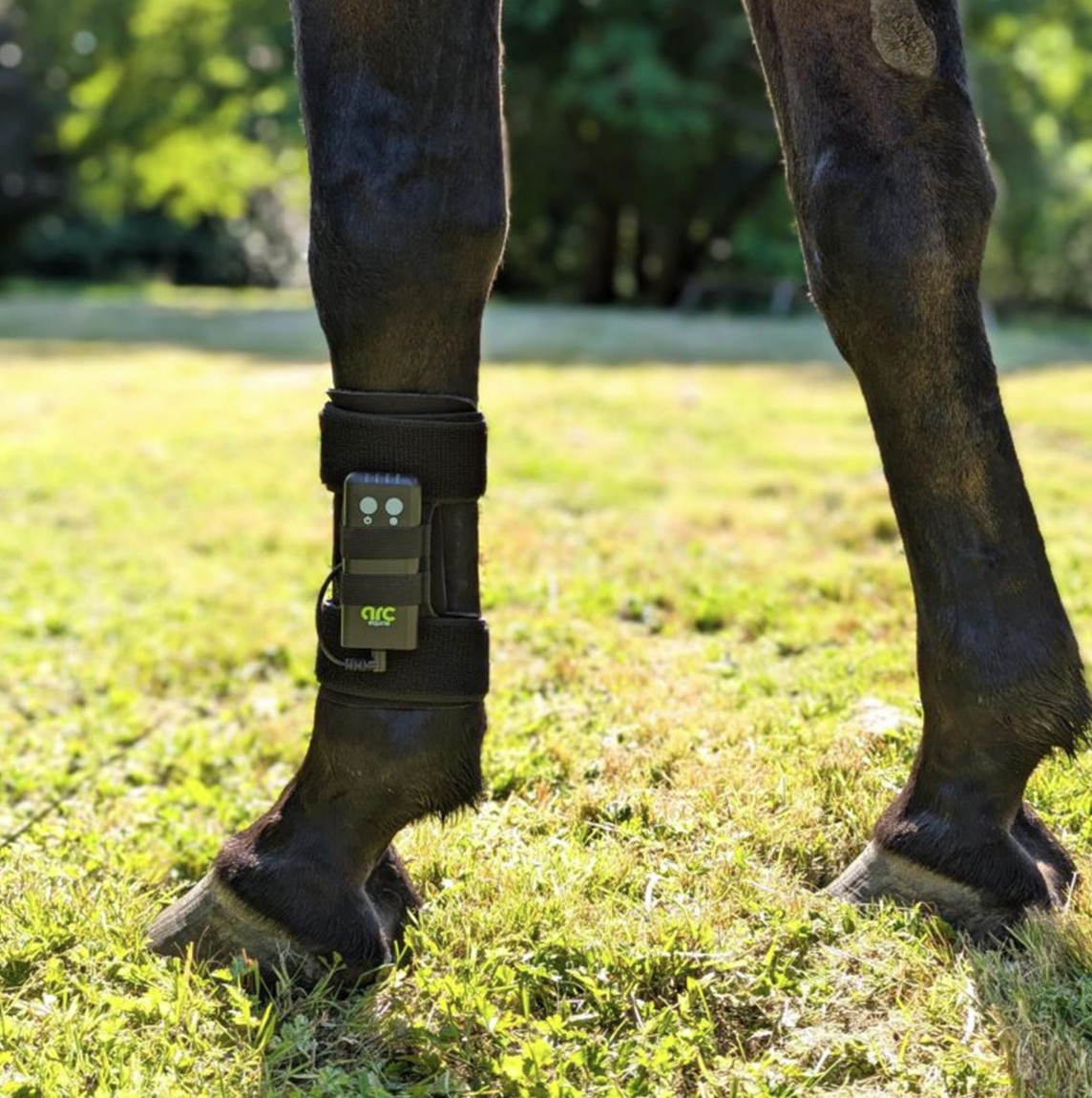 ArcEquine Complete Kit - Image 4