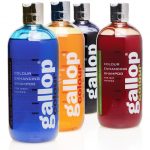 Carr & Day & Martin Gallop Colour Shampoo 500ml