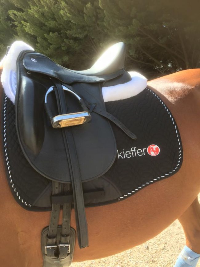 Kieffer Kontakt Dressage Saddle - Image 2