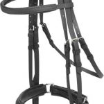 Zilco Dressage Bridle