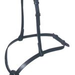 Aintree Grackle Noseband