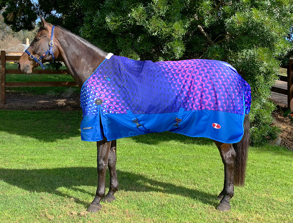 Buy Horse Rugs online at Your Saddlery