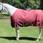 Zilco Explorer 200 Rug