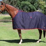Zilco Show Circuit Cotton Rug CLR
