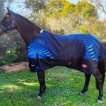Zilco Crusader 200 Rug