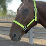Waldhausen Reflective Halter