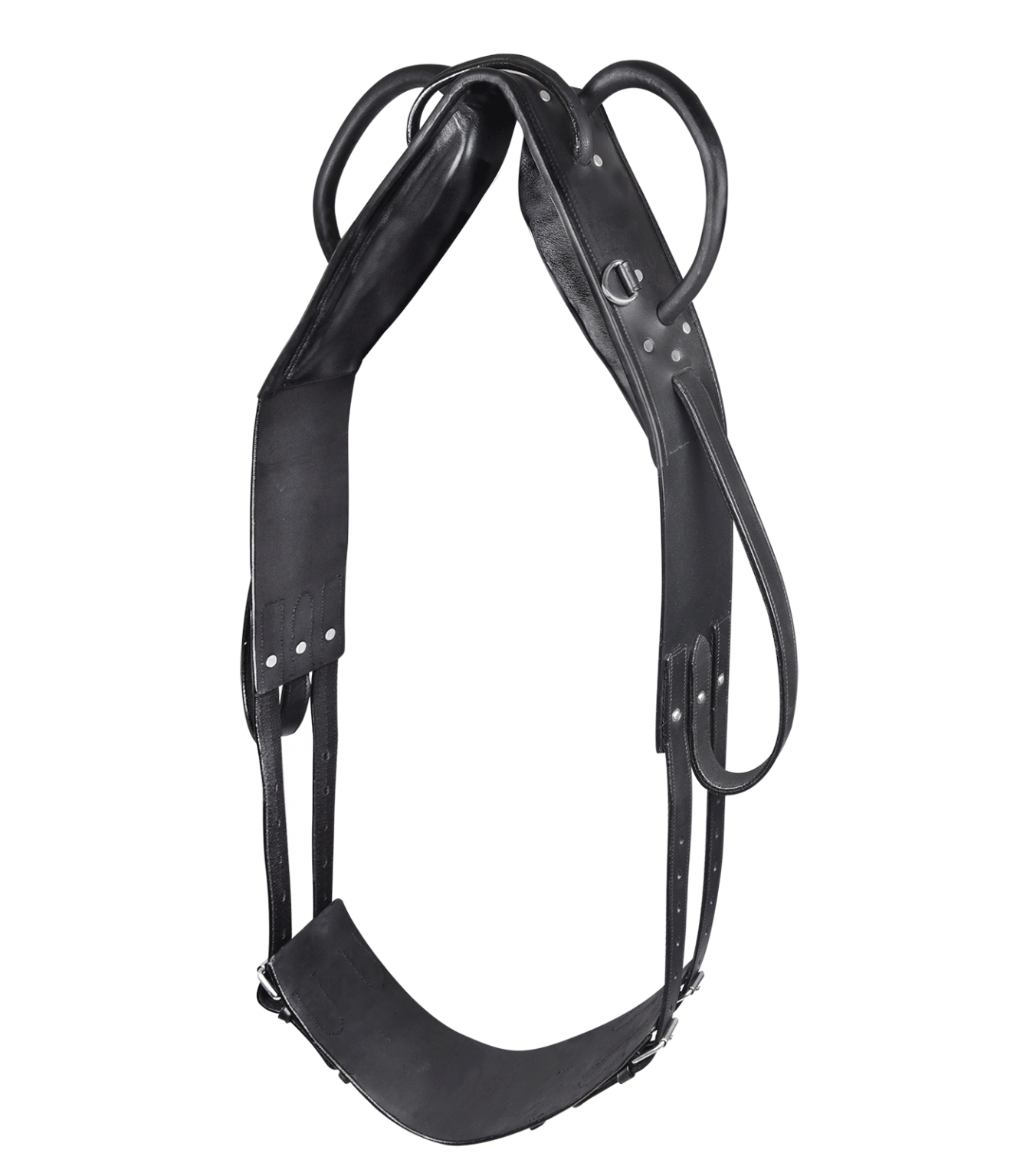 Waldhausen Vaulting & Lunging Surcingle Your Saddlery