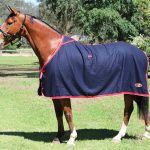Stadium Wool Rug CLR