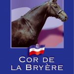 DVD Cor De la Bryere: Holstein's Greatest Stallion of the Century