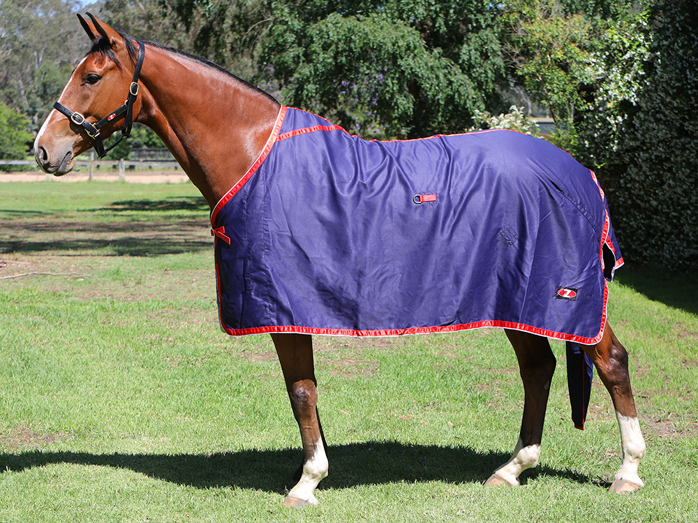 Buy Horse Rugs online at Your Saddlery