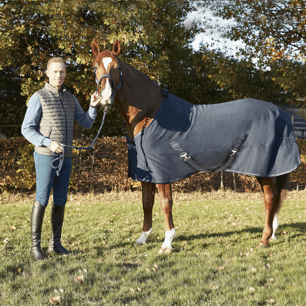 Buy Horse Rugs online at Your Saddlery