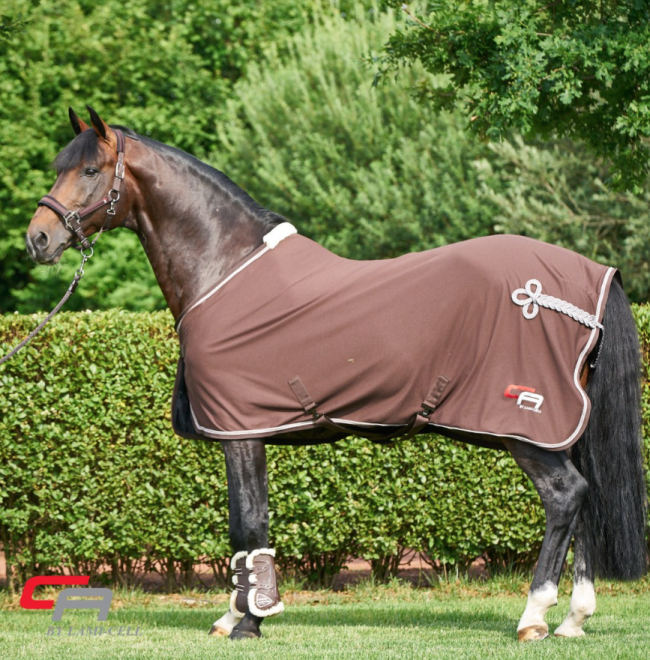 Buy Horse Rugs online at Your Saddlery