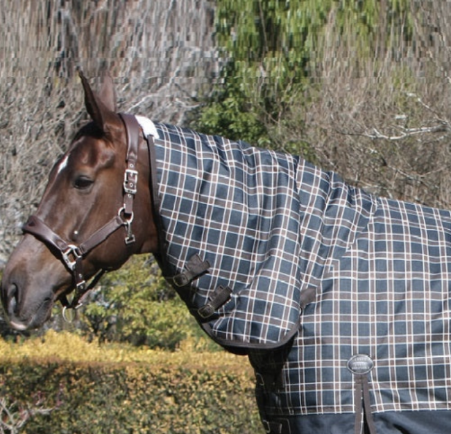 Buy Horse Rugs online at Your Saddlery