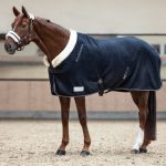 Waldhausen Modern Rosé Fleece Rug