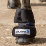 Cryochaps Absolute Ice Wrap