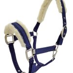 Dazzle Equestrian Halter