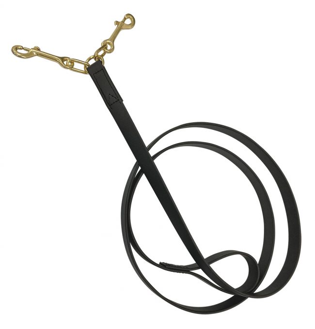 Brass Double Clip Lead in Black