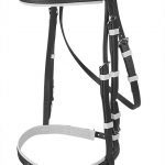 Zilco Hanoverian Bridle