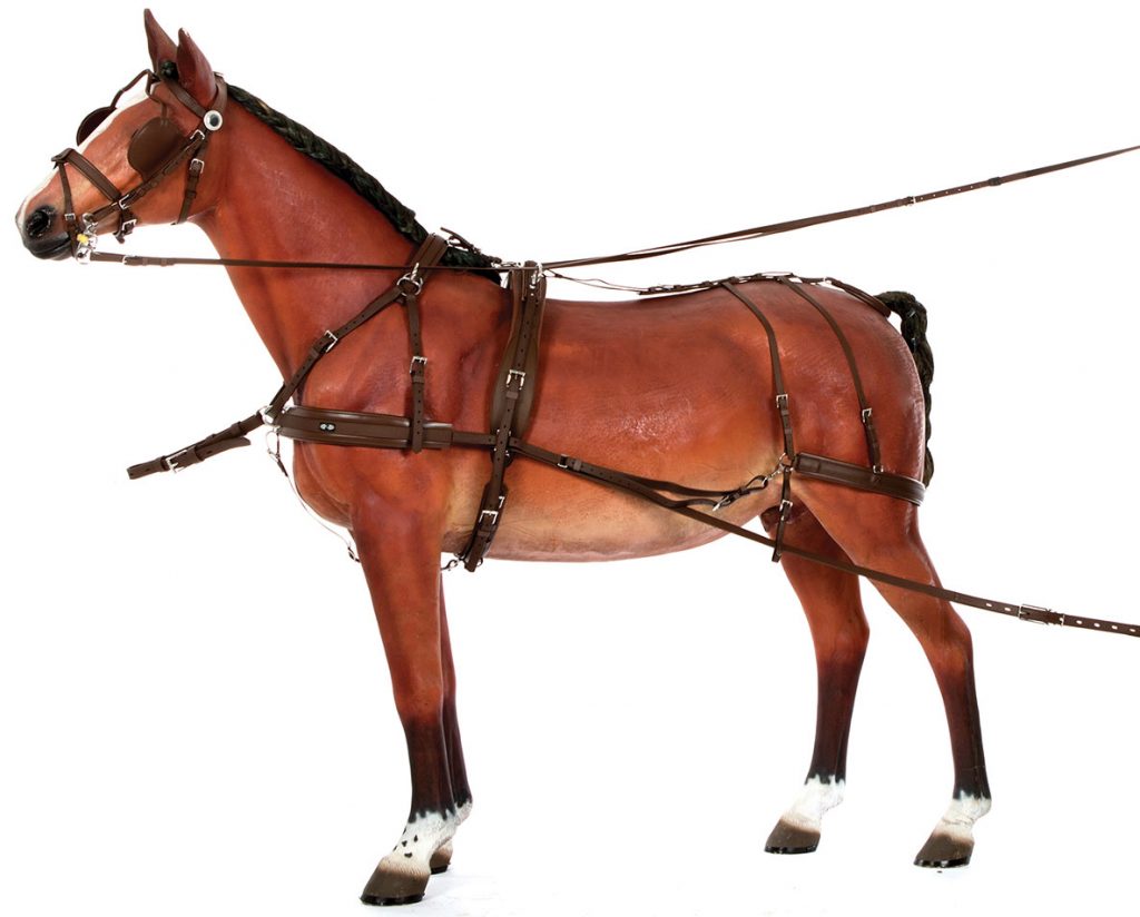 Buy Horse Harness for Sale Australia Your Saddlery
