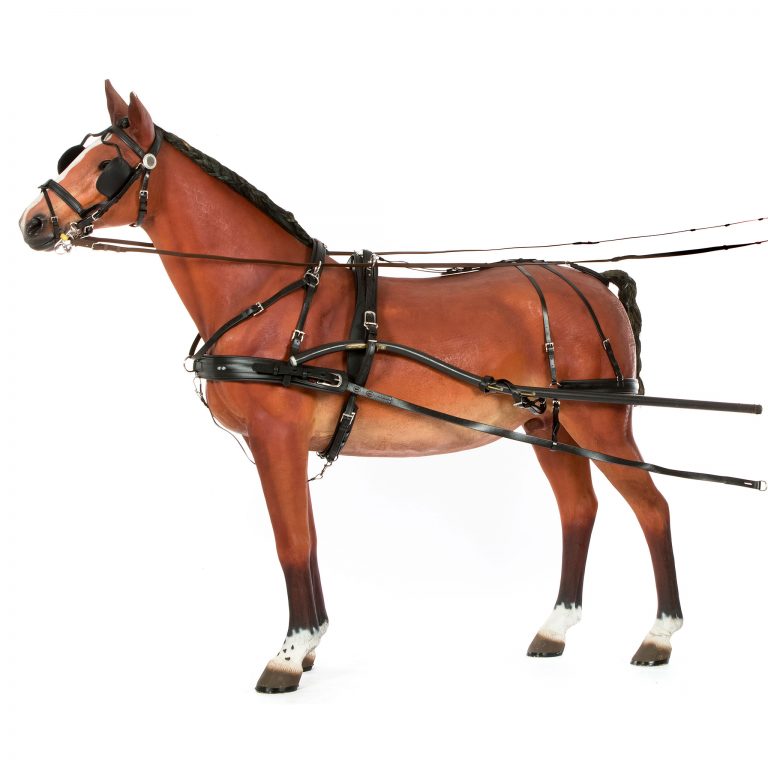 Buy Horse Harness for Sale Australia Your Saddlery